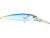 Voyager