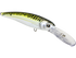 Voyager Deep