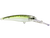 Voyager Deep