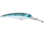 Voyager Deep