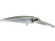Voyager Deep
