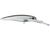 Voyager Deep