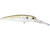 Voyager Deep