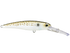 Voyager Deep