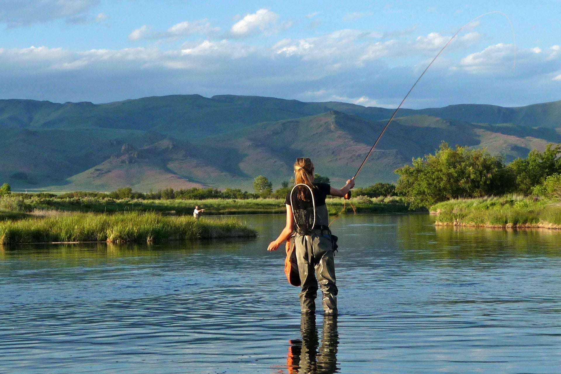 Sparkle Dun Pale Morning Dun PMD Yellow Body Mayfly 6 Flies Hook size 16