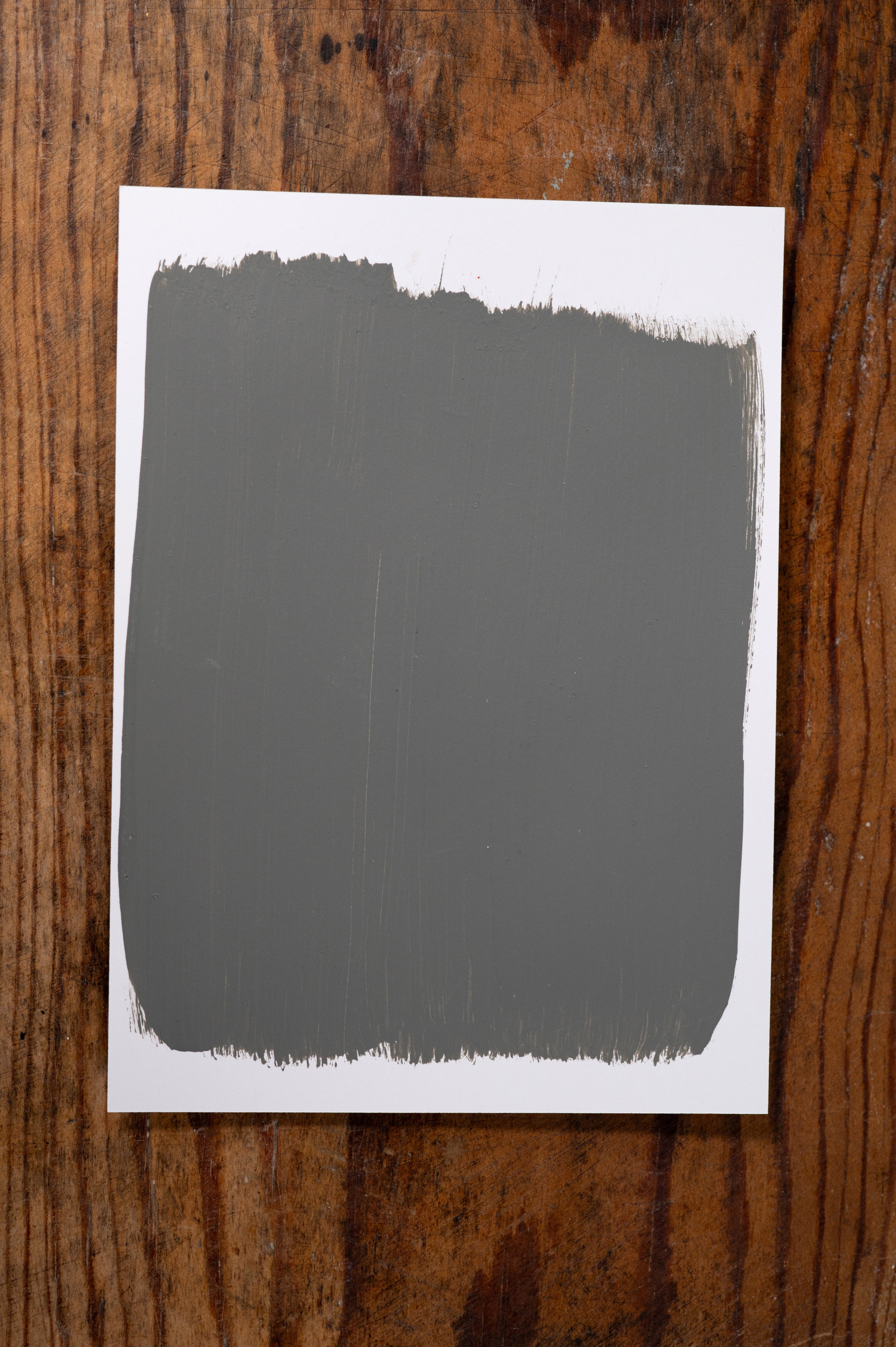 Magnolia Mornings - Manor Borne Wall Paint