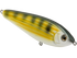 School Master Salt Water