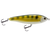 School Master Salt Water