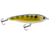 School Master Salt Water