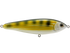 School Master Salt Water
