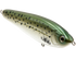 School Master Salt Water