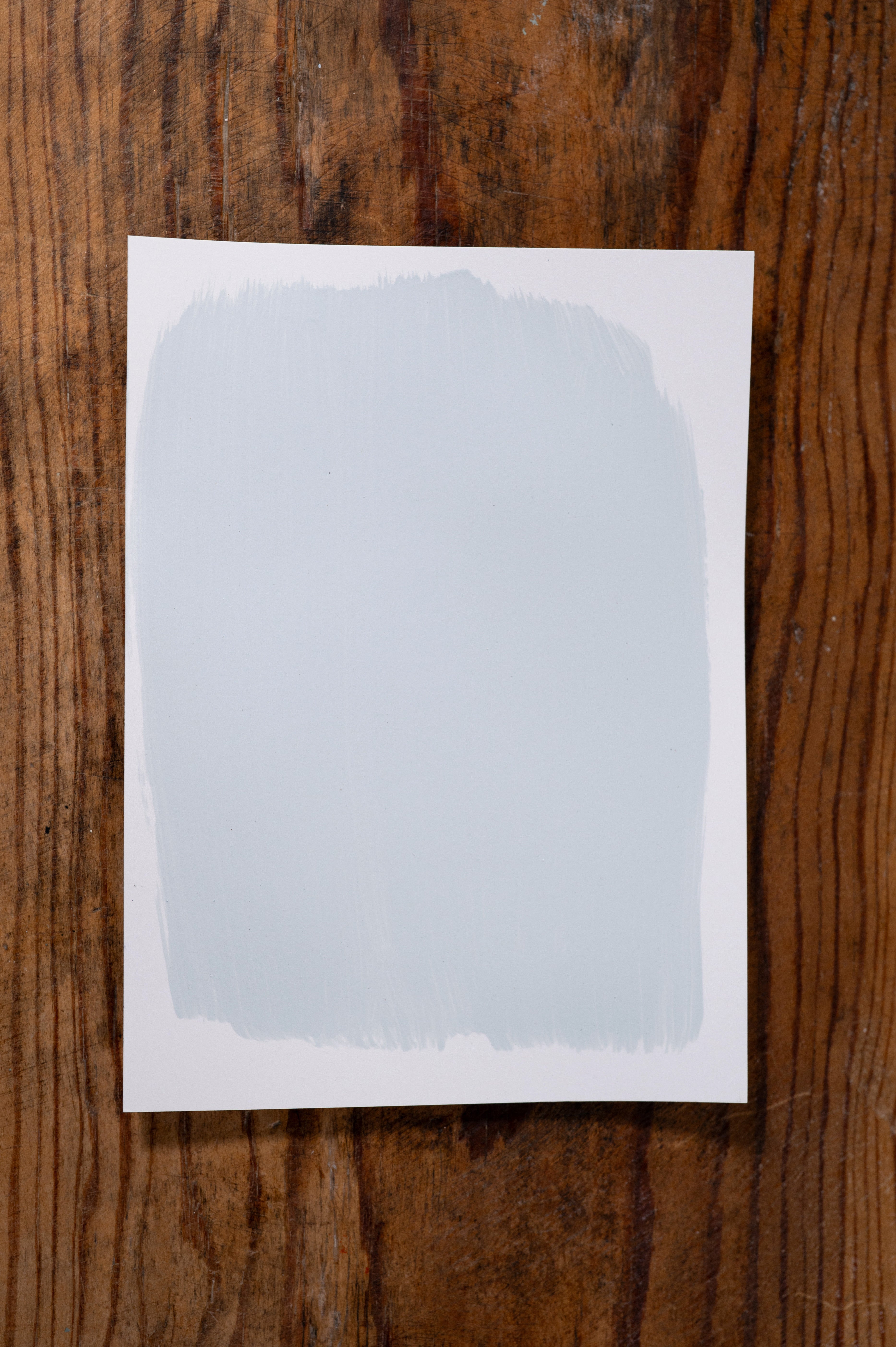 Birdie's Song - Manor Borne Wall Paint