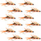 Double Bead Peacock Stonefly Nymph with Amber Biot Legs Fly Fishing Flies - 1 Dozen Flies Hook Size 8