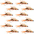 Double Bead Peacock Stonefly Nymph with Amber Biot Legs Fly Fishing Flies - 1 Dozen Flies Hook Size 8