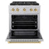 ZLINE 30"Gas Range, Convection Gas Oven , DuraSnow® Gold, SGRSZ-30-G