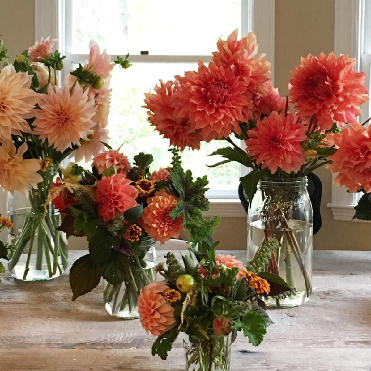 Le Parfait Screw Top Jars Food Storage Containers