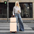 14'/20' 2-Piece Beige ABS Spinner Wheel Luggage Set