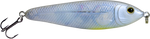 EBS Jigging Spoon