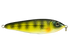 EBS Jigging Spoon