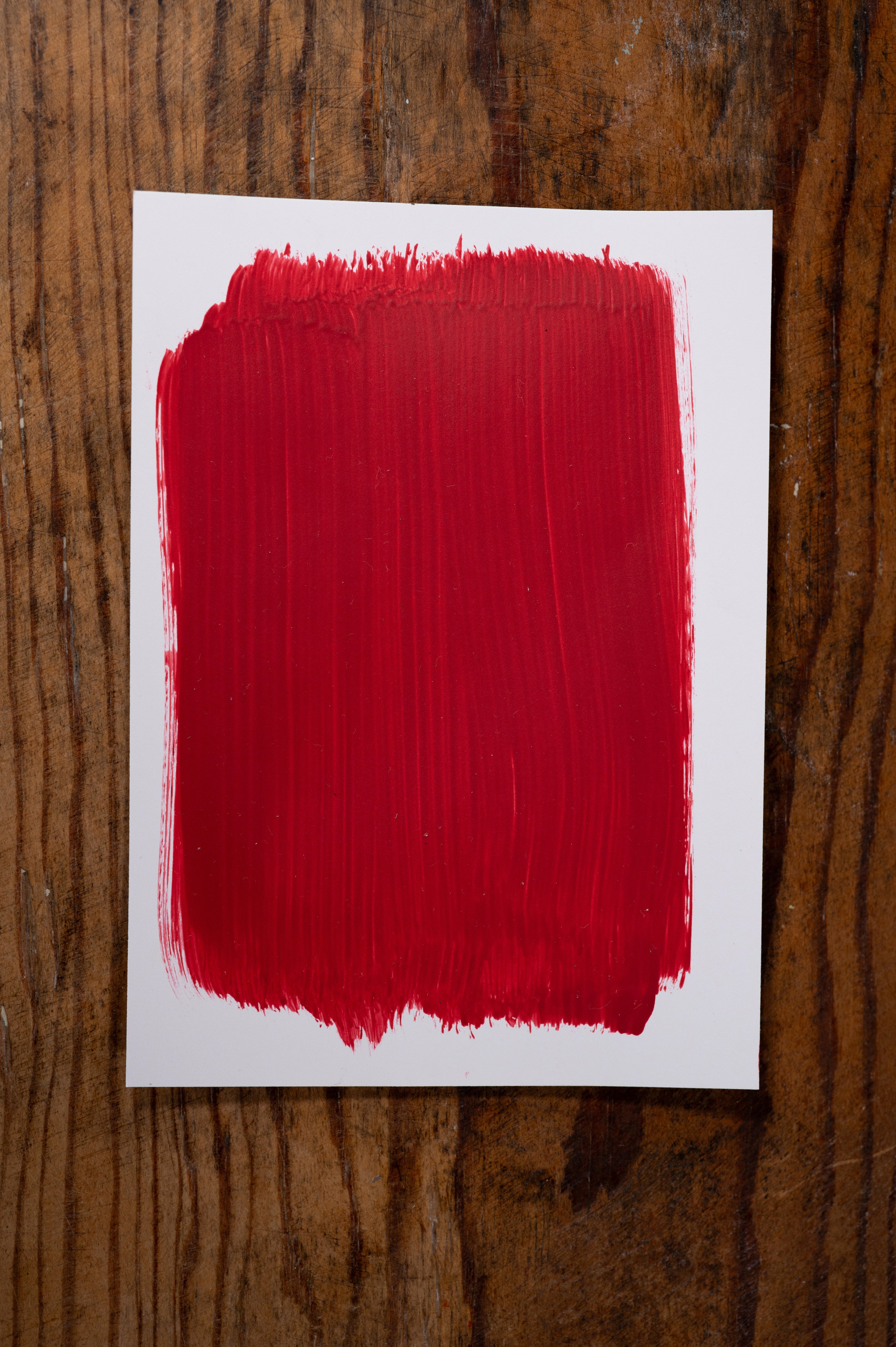 Shop Til You Drop - Manor Borne Wall Paint