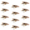 Muddler Minnow Fly Fishing Flies - Classic Bass and Trout Streamers - 1 Dozen Flies Hook Size 10