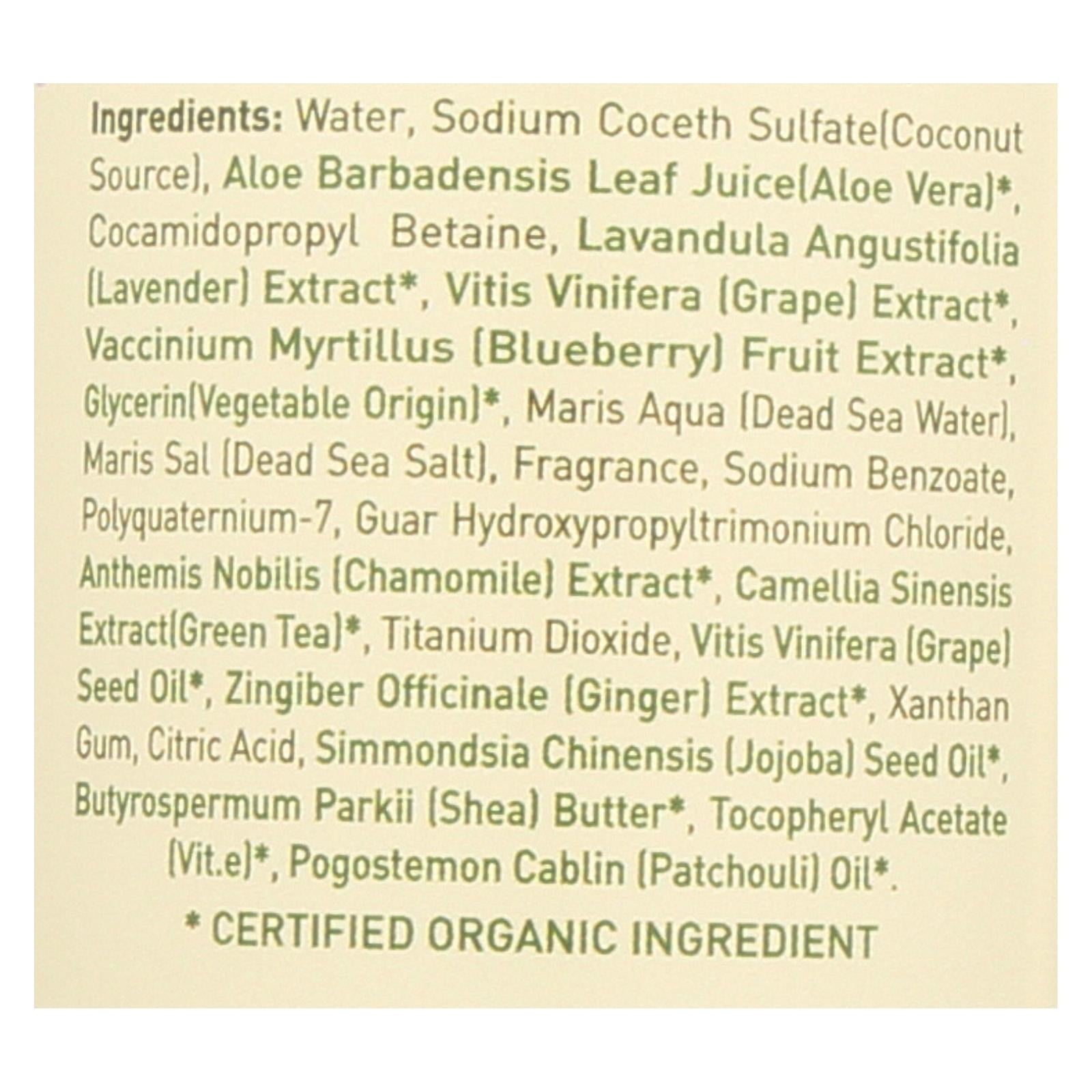 Ecolove Purple Fruit Shampoo for Healthy, Vibrant Colored Hair