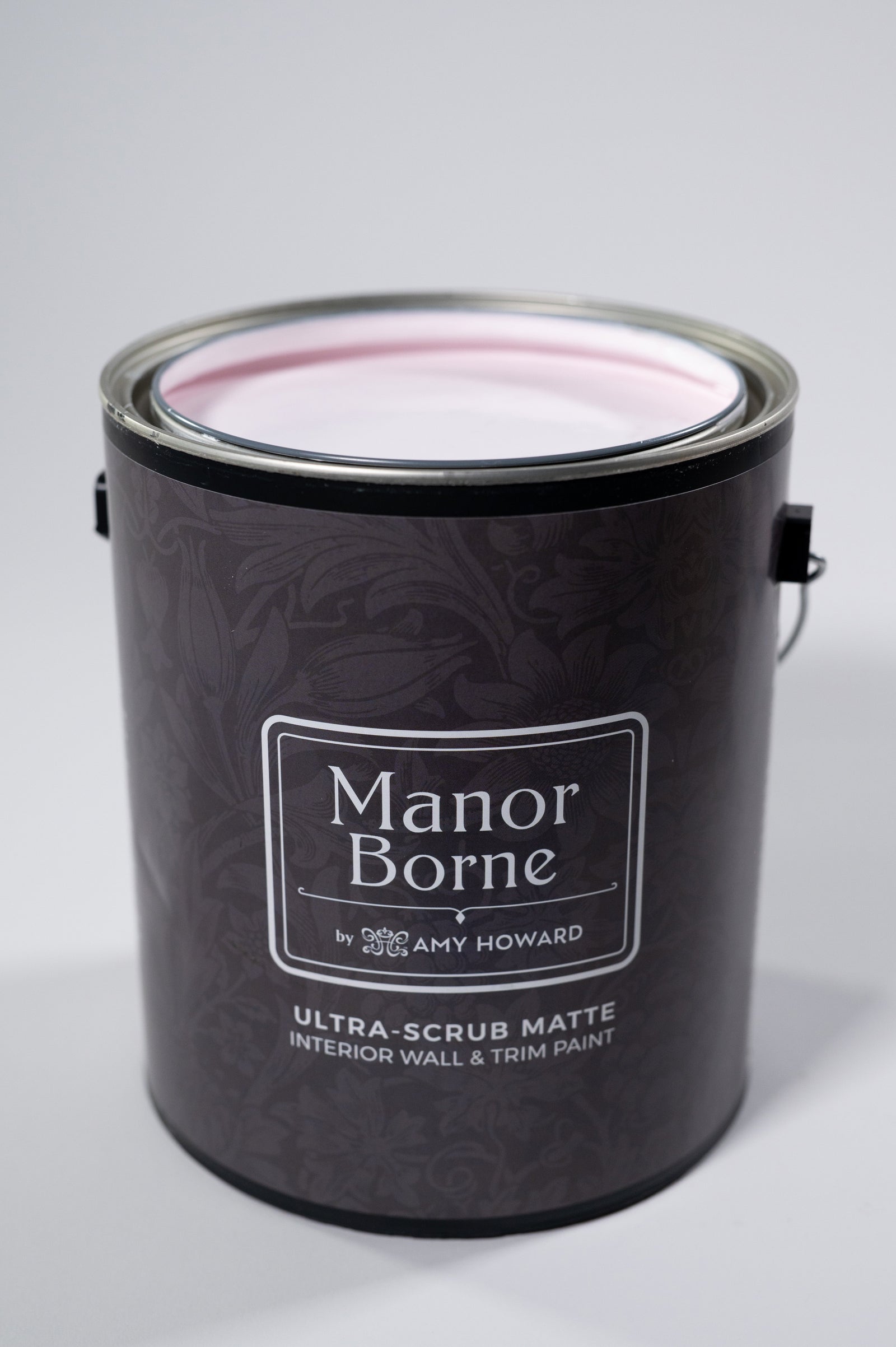 Ballet Shoes - Manor Borne Wall Paint