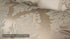 Ivory Damask Jacquard Comforter Ensemble with Embroidered Border - 9-Piece Set