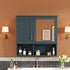 2 In 1 Wall-Mounted Mirror Cabinet With Adjustable Shelves, Soft-Close Doors, High-Definition Mirror & Storage