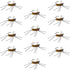 Barbless Pat's Barred Rubber Legs Tungsten Bead Jigged Coffee/Tan Euro Nymph  - Set of 12 Flies Hook Size 6