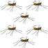 Barbless Pat's Barred Rubber Legs Tungsten Bead Jigged Coffee/Tan Euro Nymph  - Set of 6 Flies Hook Size 6