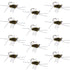 Barbless Pat's Barred Rubber Legs Tungsten Bead Jigged Dark Olive Euro Nymph  - Set of 12 Flies Hook Size 6