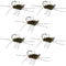 Barbless Pat's Barred Rubber Legs Tungsten Bead Jigged Dark Olive Euro Nymph  - Set of 6 Flies Hook Size 6