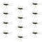 Barbless Pat's Barred Rubber Legs Tungsten Bead Jigged Black/Olive Euro Nymph  - Set of 12 Flies Hook Size 6