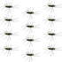 Barbless Pat's Barred Rubber Legs Tungsten Bead Jigged Black/Olive Euro Nymph  - Set of 12 Flies Hook Size 6