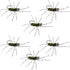 Barbless Pat's Barred Rubber Legs Tungsten Bead Jigged Black/Olive Euro Nymph  - Set of 6 Flies Hook Size 6