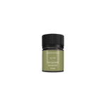 Allure Fragrance Oil