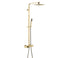 Luxurious Brushed Gold Or Matte black Wall-Mounted Thermostatic Rain Exposed Shower Set with Tub Spout