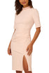 Adrianna Papell Joyful Blush High Collar Embellished Short Sleeve Crepe Midi Sheath Dress