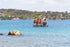 Aqua Marina A-DELUXE 2.77M With Aluminum Deck Inflatable Speed Boat
