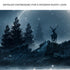 Midnight Deer Canvas Wall Art