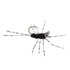 3 Pack Barbless Pat's Barred Rubber Legs Tungsten Bead Jigged Black Euro Nymph  - Hook Size 6 (Copy)