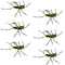 Barbless Pat's Barred Rubber Legs Tungsten Bead Jigged Black/Chartreuse Euro Nymph  - Set of 6 Flies Hook Size 6