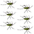 Barbless Pat's Barred Rubber Legs Tungsten Bead Jigged Black/Chartreuse Euro Nymph  - Set of 6 Flies Hook Size 6