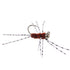 Barbless Pat's Barred Rubber Legs Tungsten Bead Jigged Brown Euro Nymph  - Set of 12 Flies Hook Size 6