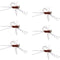 Barbless Pat's Barred Rubber Legs Tungsten Bead Jigged Brown Euro Nymph  - Set of 6 Flies Hook Size 6