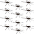 Barbless Pat's Barred Rubber Legs Tungsten Bead Jigged Coffee/Black Euro Nymph  - Set of 12 Flies Hook Size 6