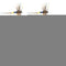 Adams Female Classic Dry Fly - 6 Flies - Hook Size 14