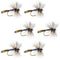 Adams Wulff Classic Dry Fly - 6 Flies - Hook Size 12