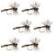 Adams Wulff Classic Dry Fly - 6 Flies - Hook Size 10
